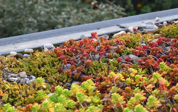 the cost of Lanehouse green roof installation