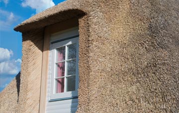 Lanehouse thatch roof disadvantages