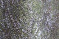 Lanehouse fibreglass roof work